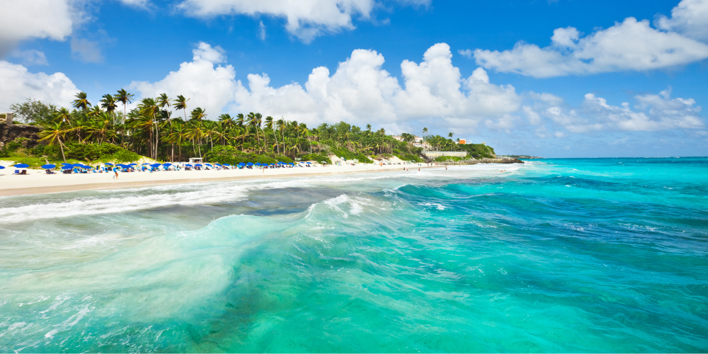 Crane beach 