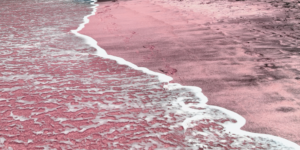 Caribbean beaches pink sands beach 